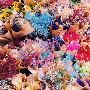 Meet your Posher, Julia